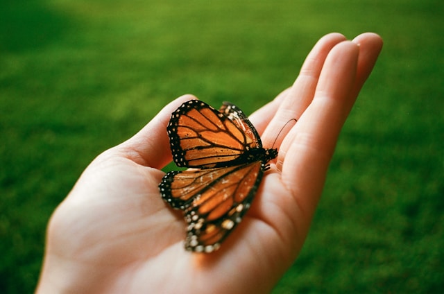 ai adoption in writing workflows